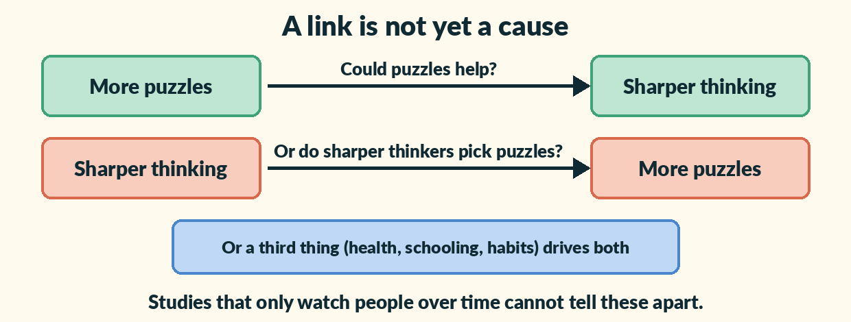 Three possible explanations: more puzzles could make thinking sharper; sharper thinkers could choose more puzzles; or a third thing such as health, schooling or habits could drive both.