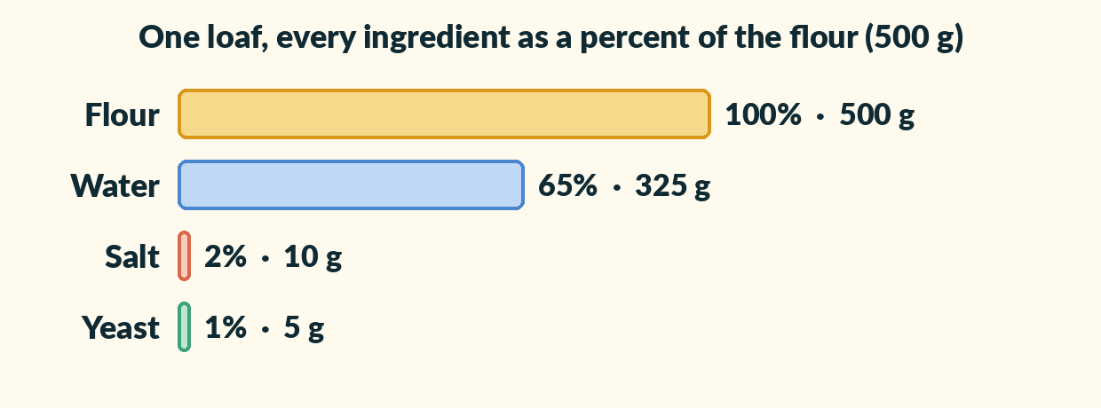 Four bars: flour 100 percent, 500 grams; water 65 percent, 325 grams; salt 2 percent, 10 grams; yeast 1 percent, 5 grams.
